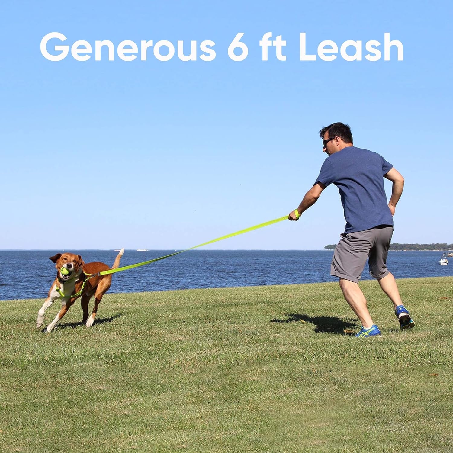 Reflective Lightweight Black Dog Leash - 6 Ft Durable Lead for Small Dogs and Puppies