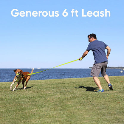 Reflective Lightweight Black Dog Leash - 6 Ft Durable Lead for Small Dogs and Puppies